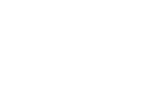 SELF EXPLORER Logo